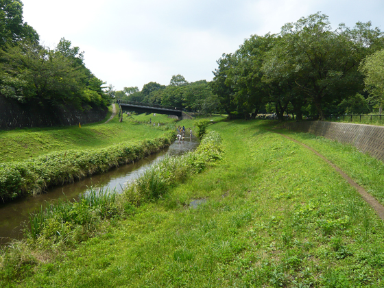 梅雨の遠足「国分寺崖線 深大寺編」