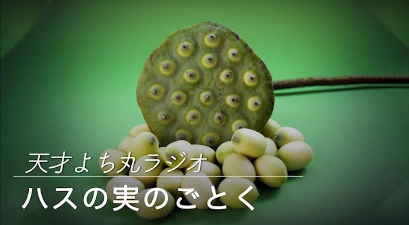 ハスの実のごとく